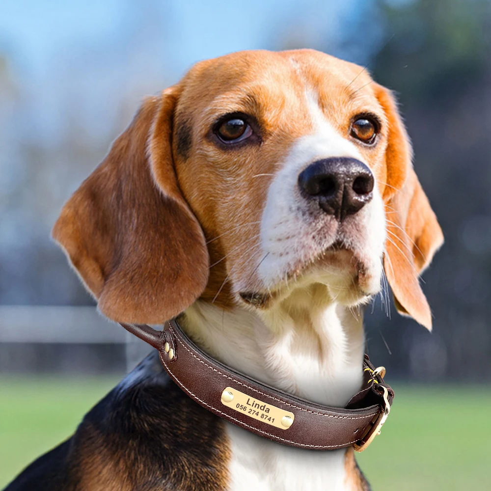 شخصية بو الجلود طوق بكلاب محفورة مجانية معرف الكلب الياقات علامة تدريب الحيوانات الأليفة التحكم السريع قلادة مع مقبض للكلاب