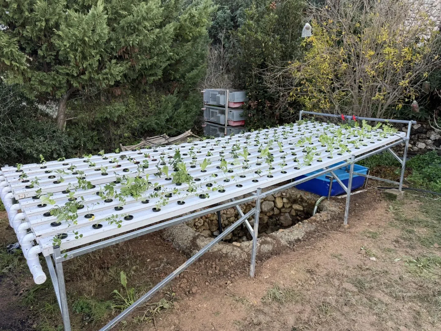 Sistem Tanam Hidroponik Komers - Hydroponic Nft Channel ulasan dan harga
