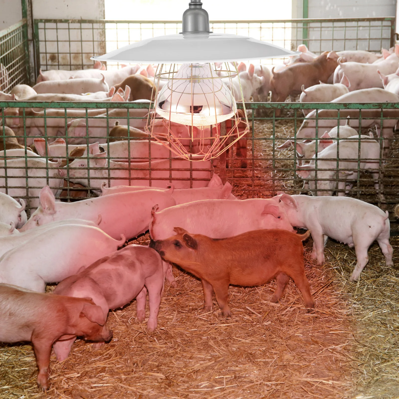 

Livestock Heat Lamp Mini Pig Use Warm Light for Poultry Livestock Heating Lamp Warm Light for Pet Chicken Coop Heater
