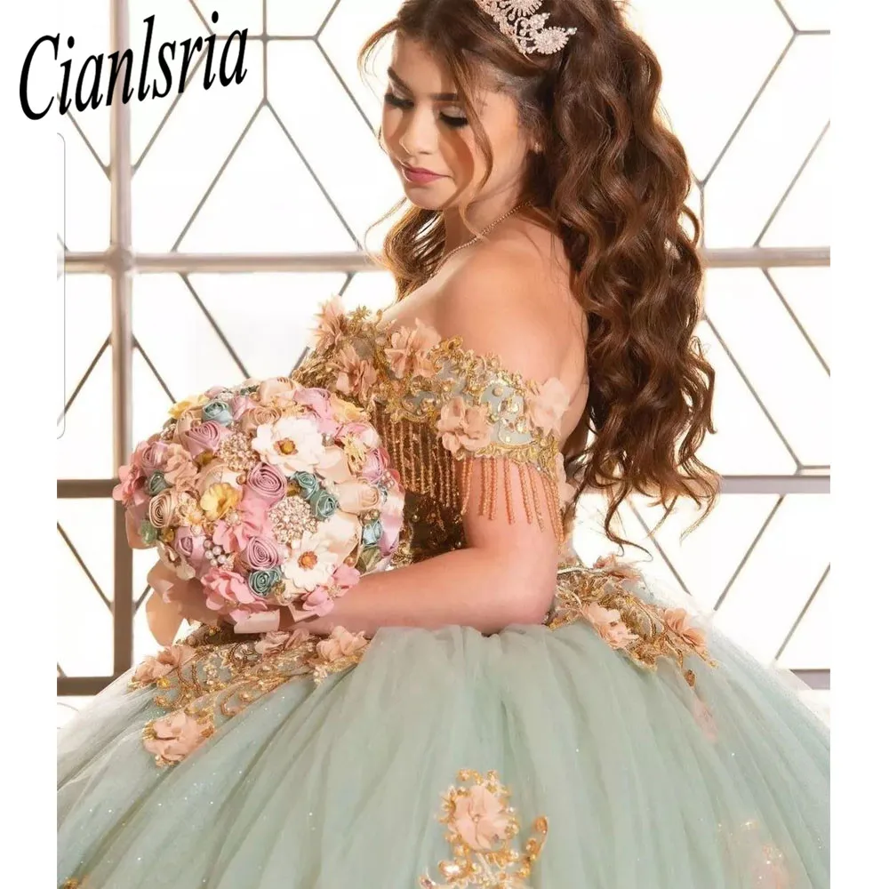 Vestido de baile de quinceañera para niña, traje verde menta con cuentas, con cordones en la espalda, con flores en 3D para fiesta de cumpleaños y graduación