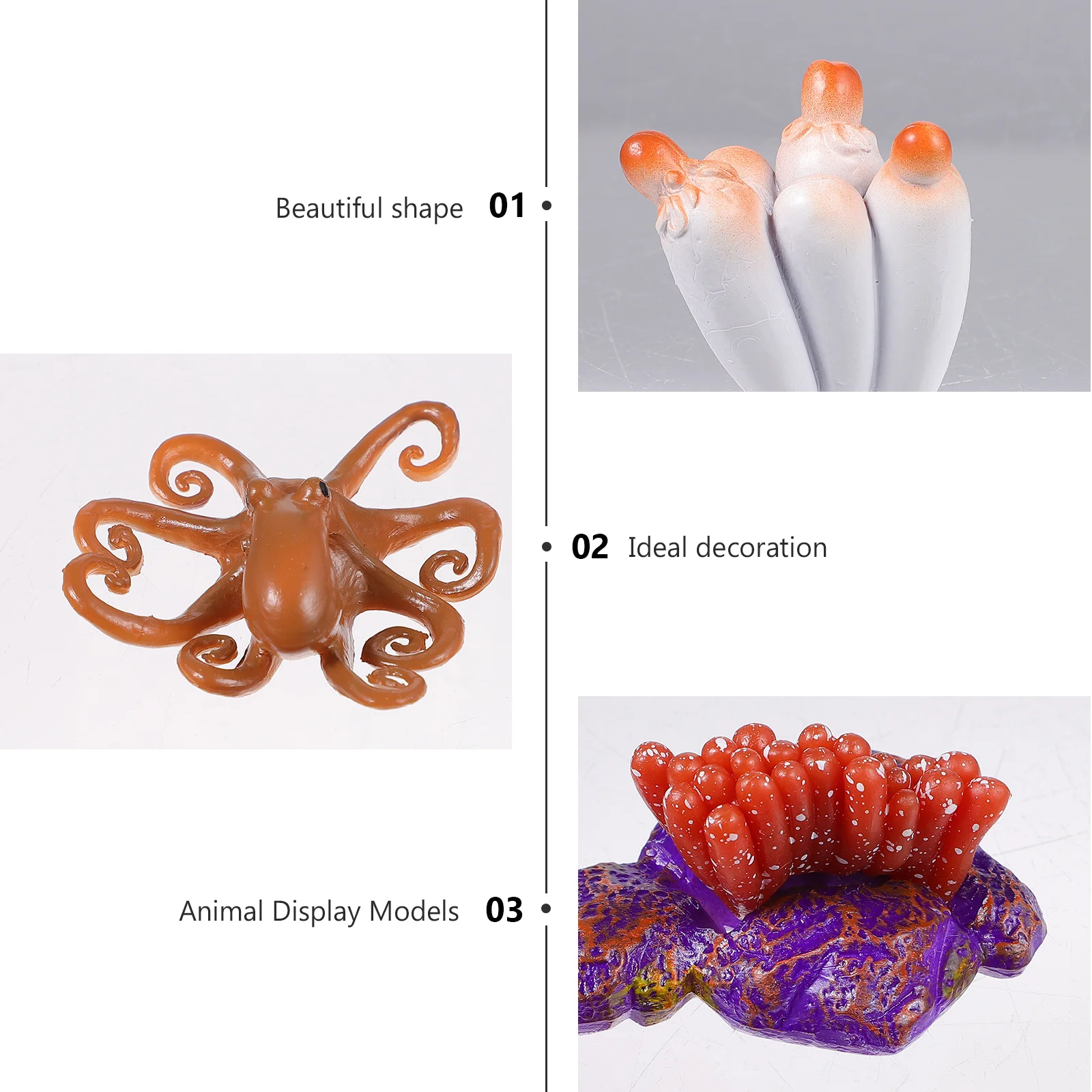 

1Set Simulated Octopus Life Cycle Educational Tool Science Kindergarten Display Animal Evolution Cognition Home Decoration