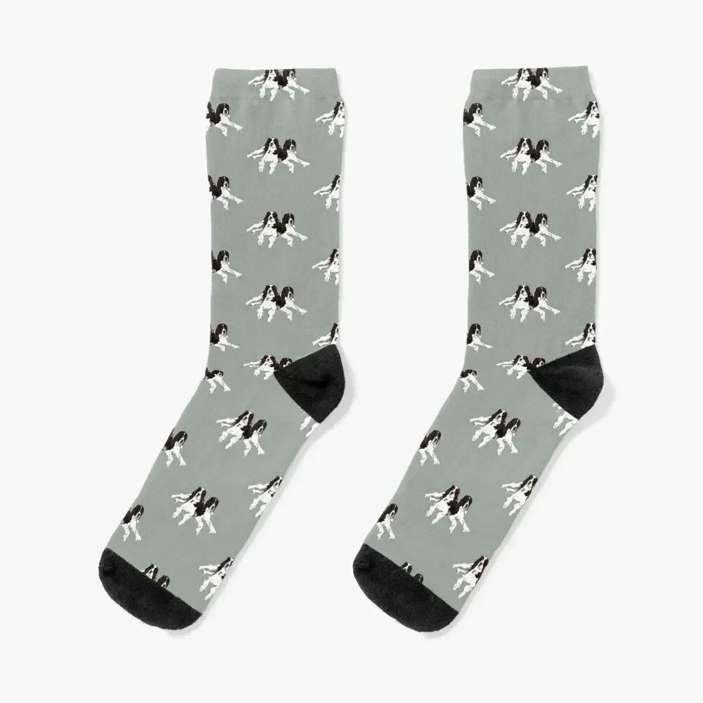 

Springer Spaniel Buddies Socks short funny gift floor Man Socks Women's