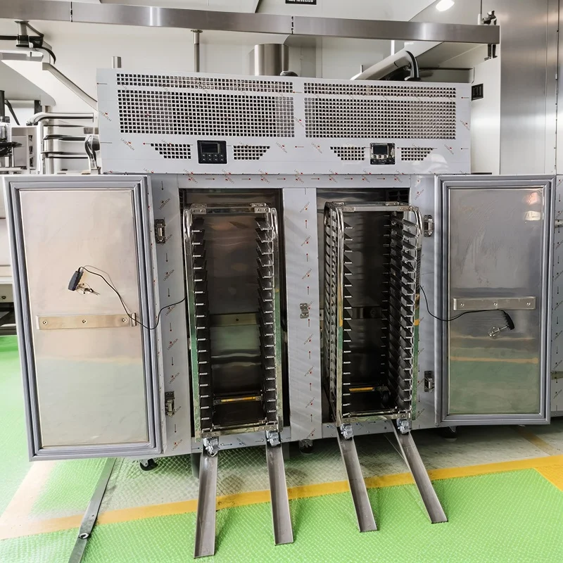 Customized 36 Trays Double Door Trolley Blast Freezer -76°C Quick Freeze Auto Defrost High Quality for Food Processing