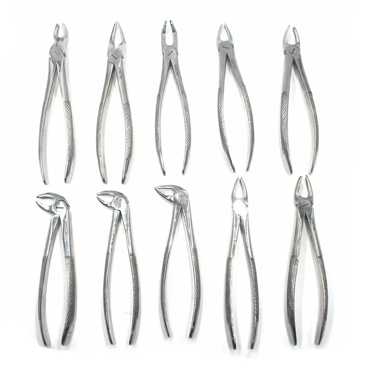 10pcs Stainless Steel Pliers Laboratory Dental Extracting Forceps Set