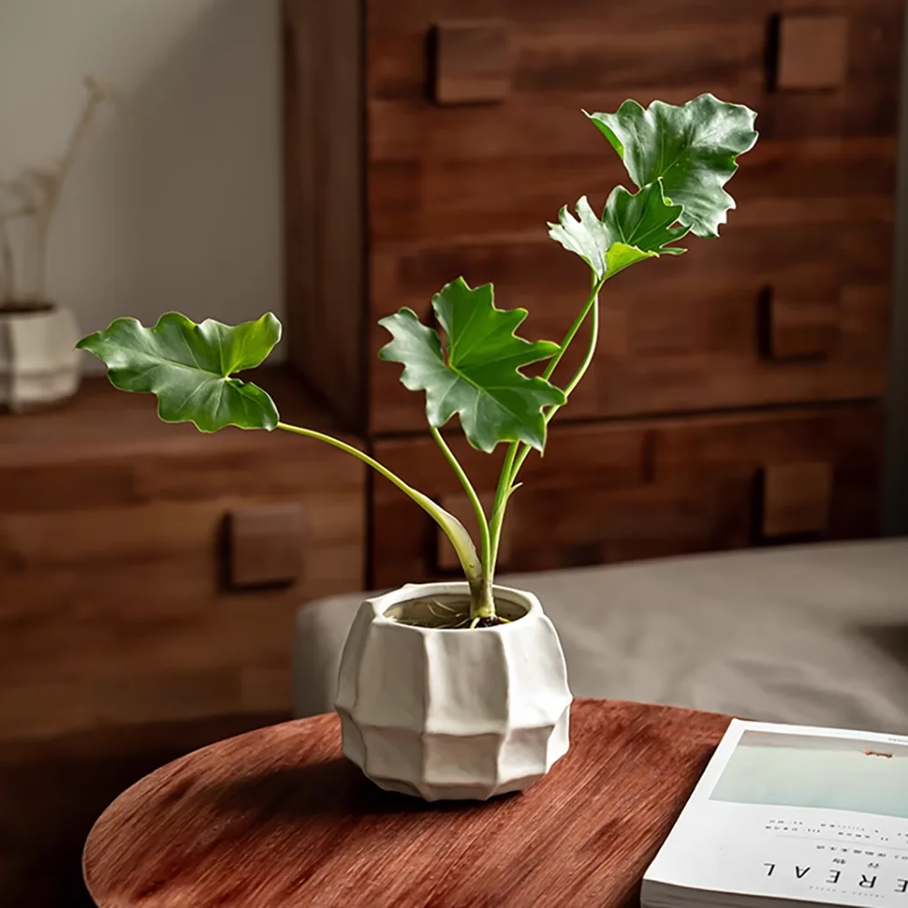 

Concrete Planter Silicone Mold, Succulent Flower Pot Mold for Plaster Cement, DIY Home Garden Decor Craft，Vase molds