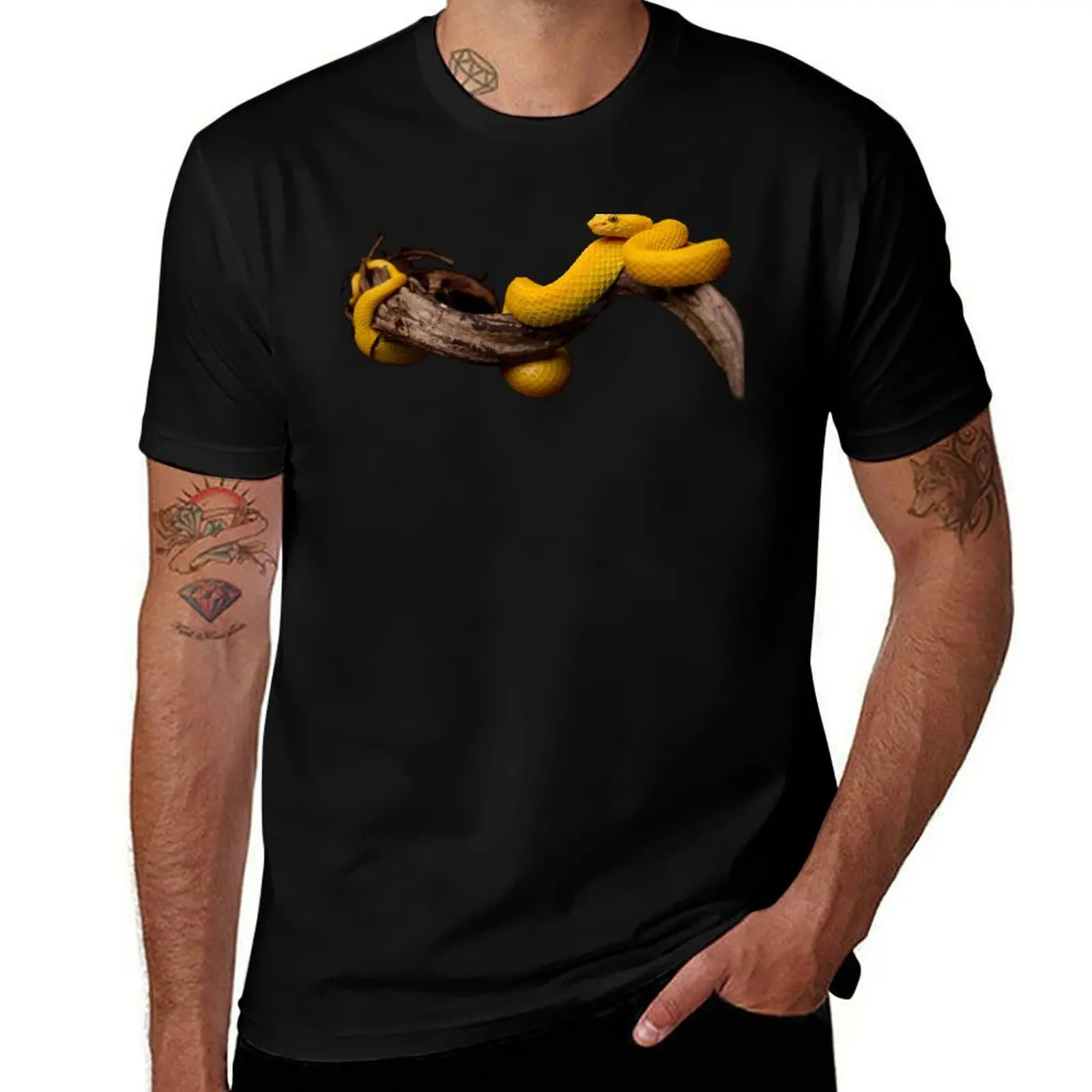 Eyelash Viper - Bothriechis schlegelii T-Shirt Soft Casual Short Sleeve Cotton Tee T-Shirt