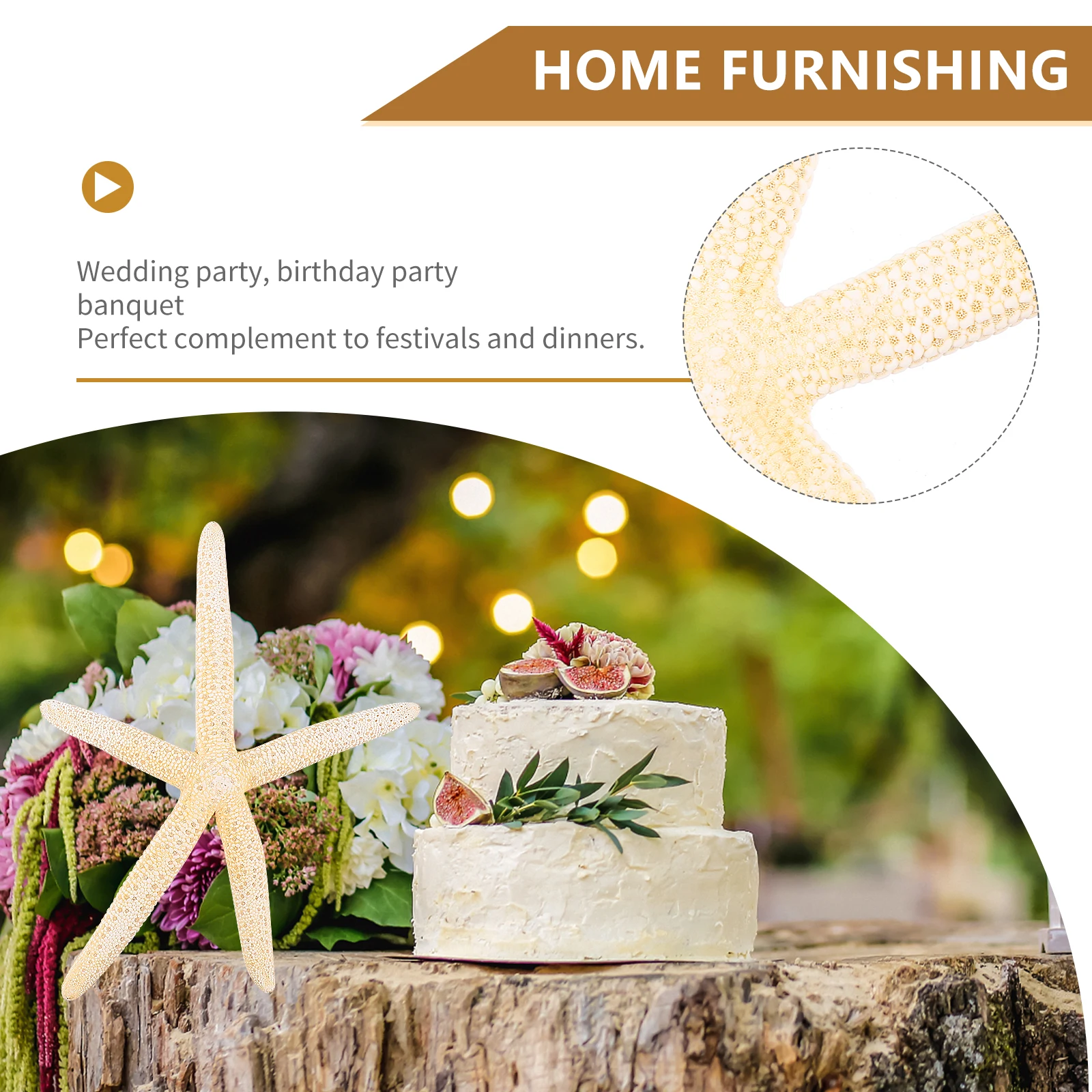 

2pcs Natural Sea Stars Decorative Ornaments For Wedding Home Garden Knobby Mini Real Seashell Decor