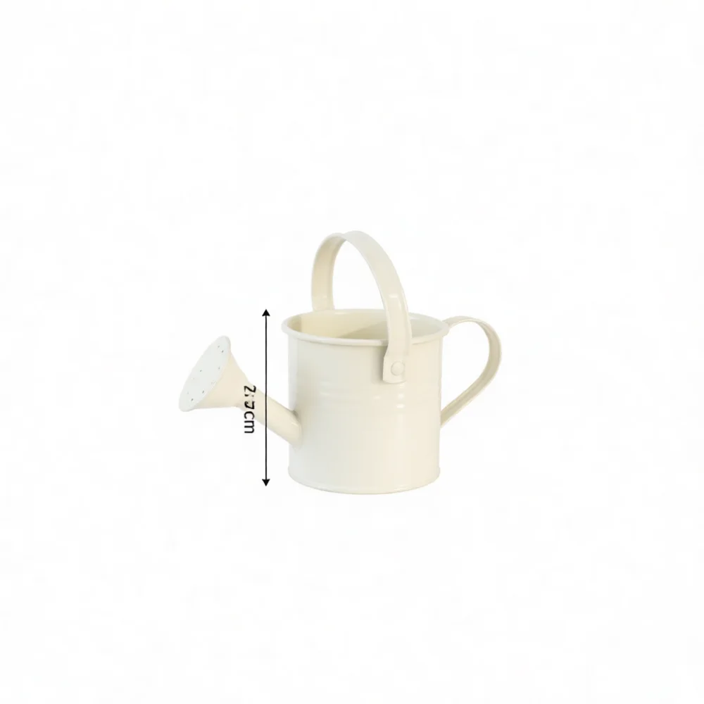 Small Metal Watering Can Decorative Flower Pot Creative Iron Succulent Planter Desktop Garden Art Plant Holder Color Vase