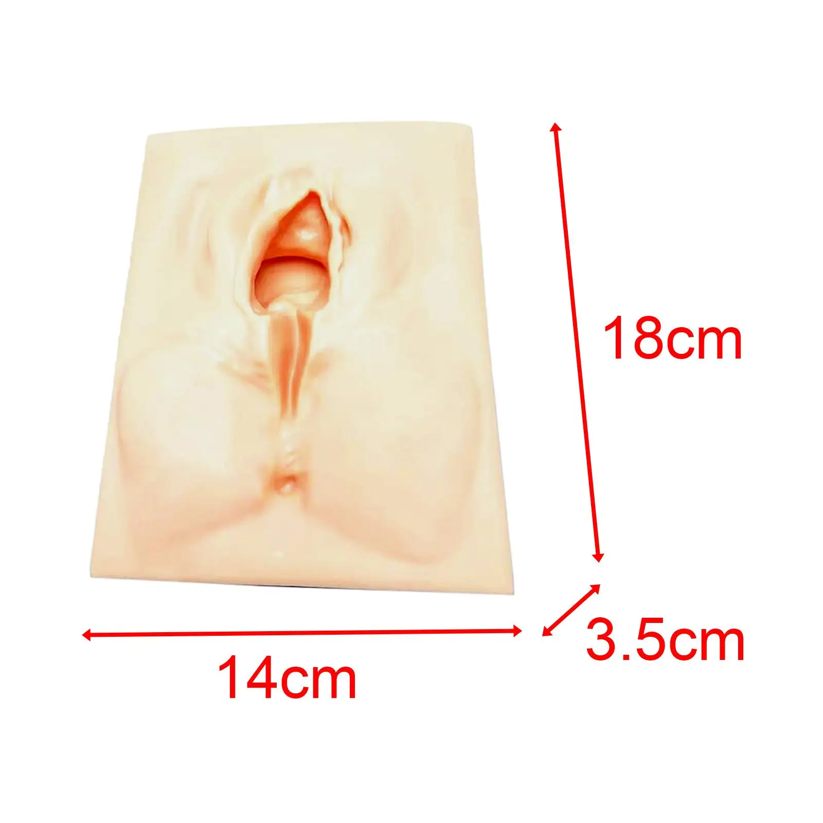 Perineal Practice Episiotomy Simulator for Teaching Training