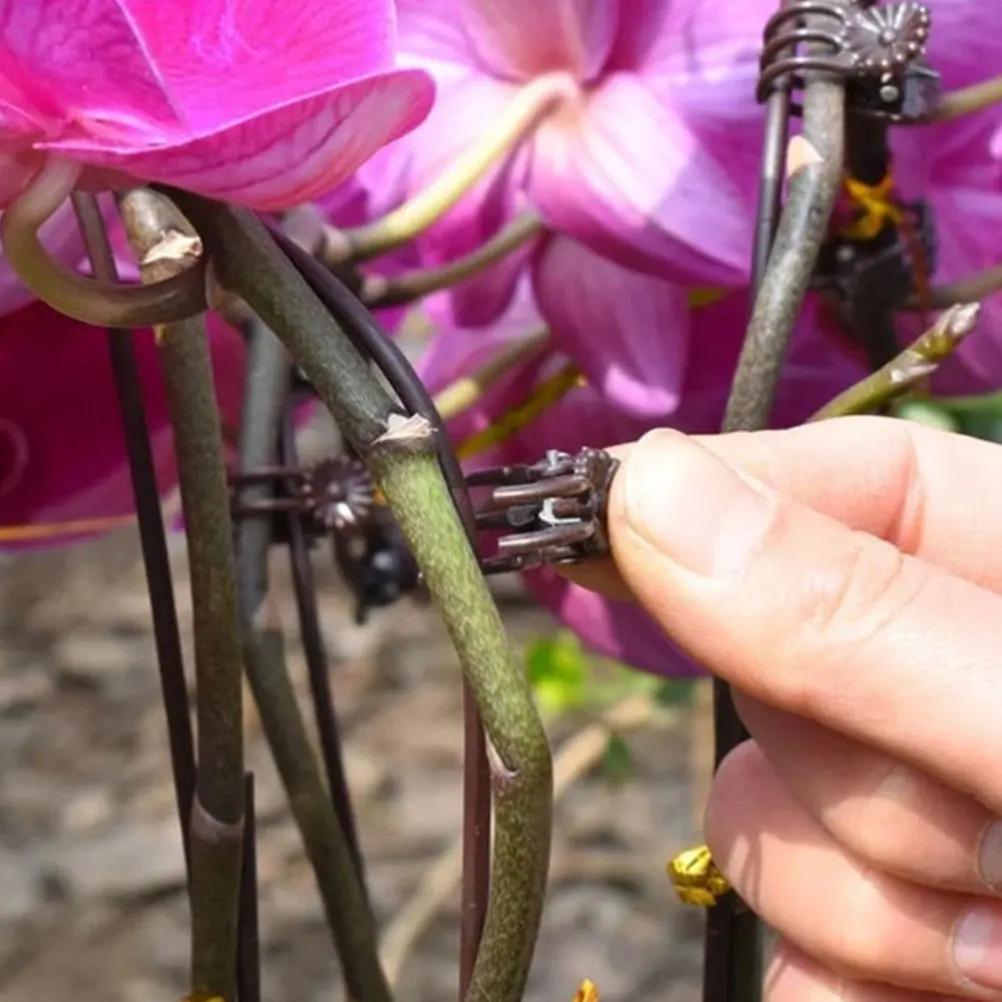 

Orchid Clips Plant Vine Support Stem Clips Garden Mesh Netting Trellis Durable Plastic Lightweight Sturdy Perfect Stem Supports
