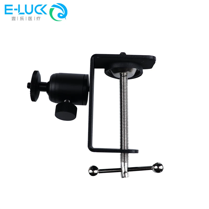 Klip Desktop Meja Meja Mount Clamp Model Gigi Gigi Tetap untuk Belajar Model Belajar