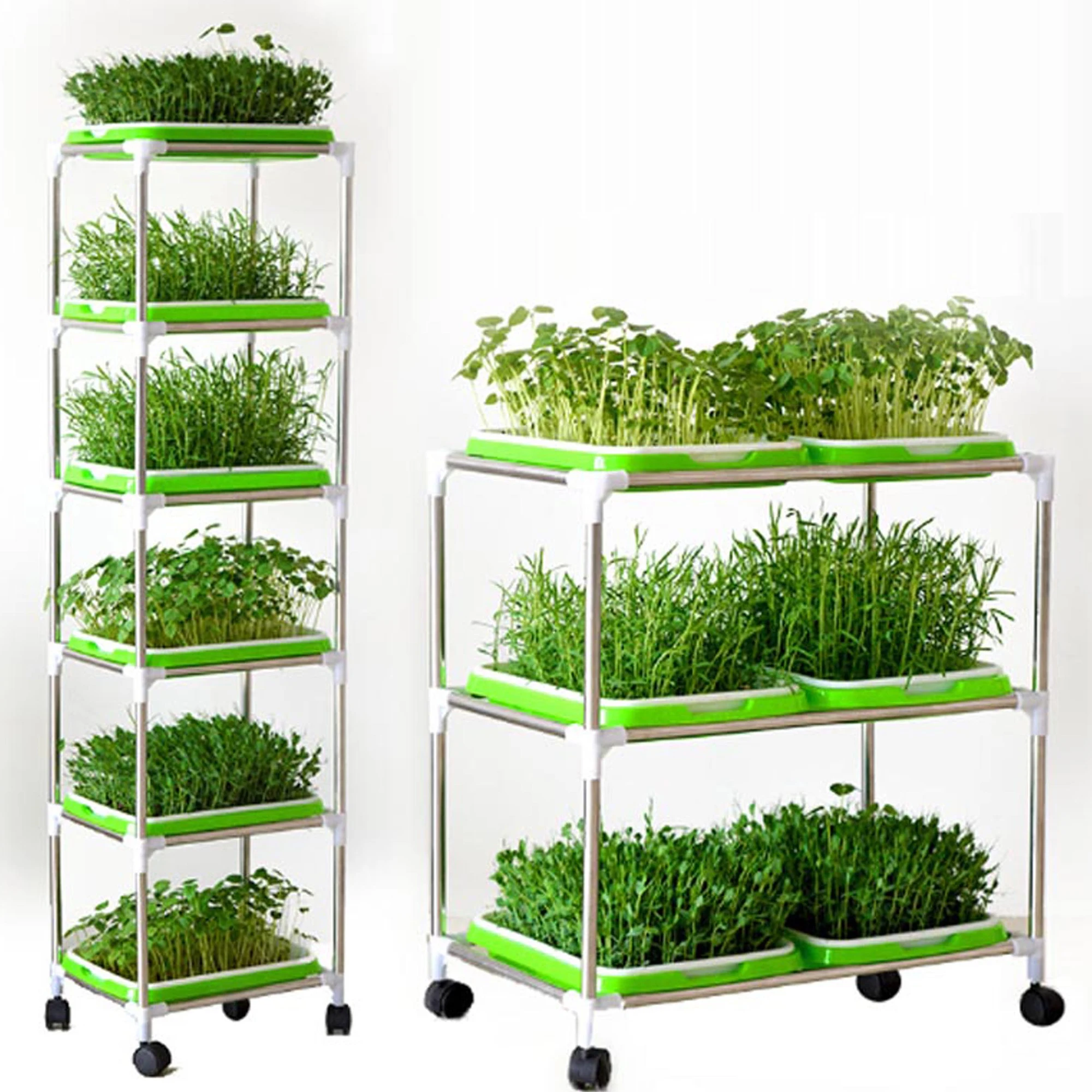 Germination Nursery Tray Pea Mung Bean Peanut Wheat Water Cultivation Seedling Tray Soilless Cultivation Tray Nursery Tray