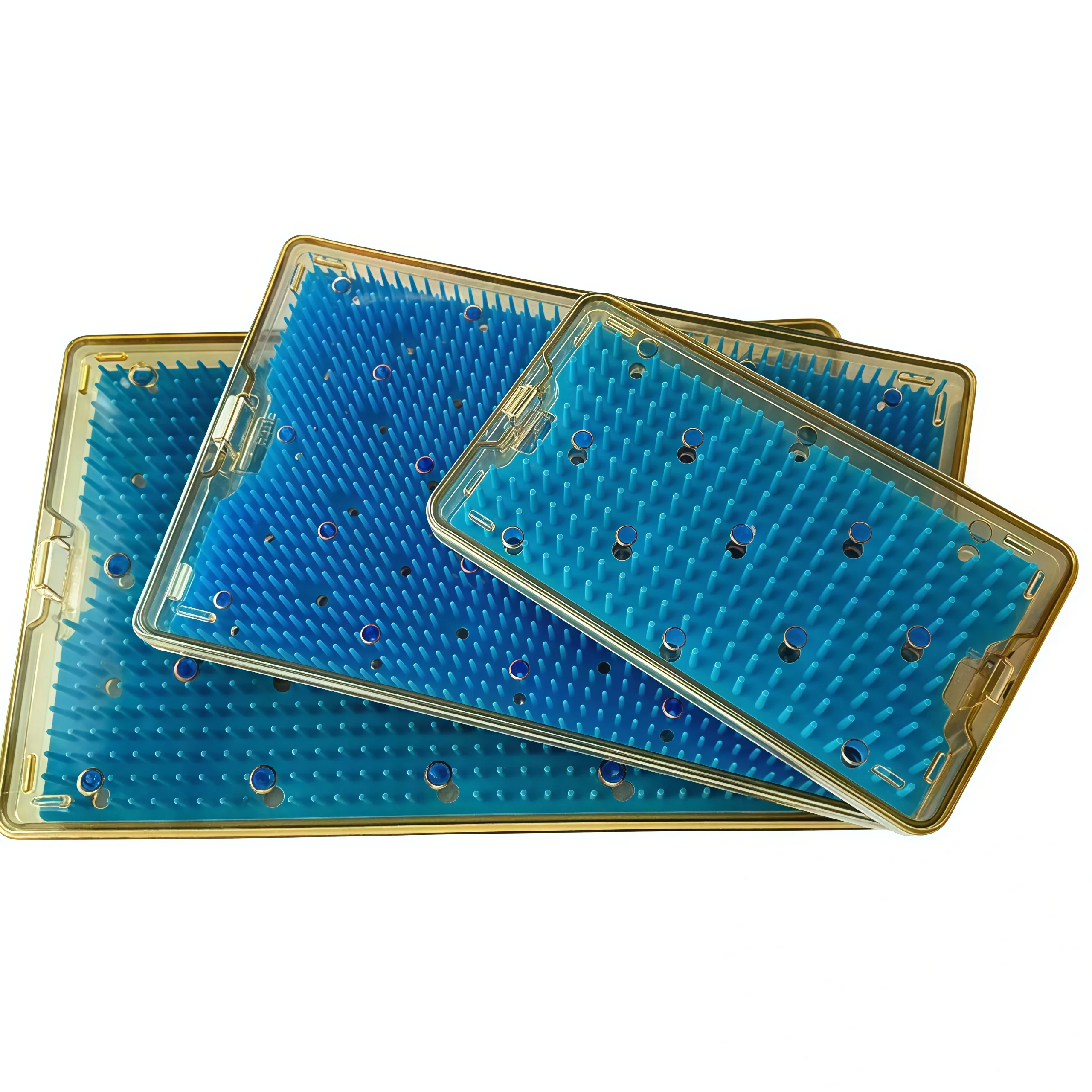 Medical Sterilization Box PPSU with Silicone Mat Manual Disinfection Tray