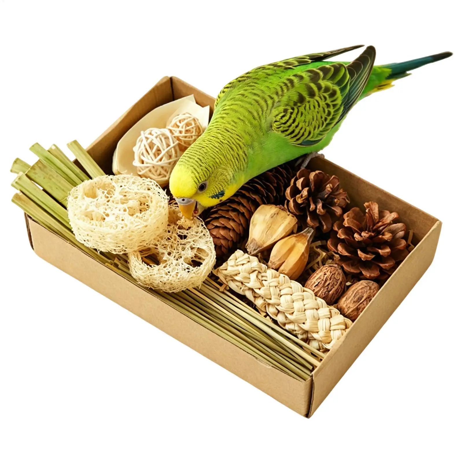 Foraging Toys For Parakeets Foraging Chewing Shredding Enrichment Box Bird Toys For Cage Parrot Conure Canary Finch Pet Home