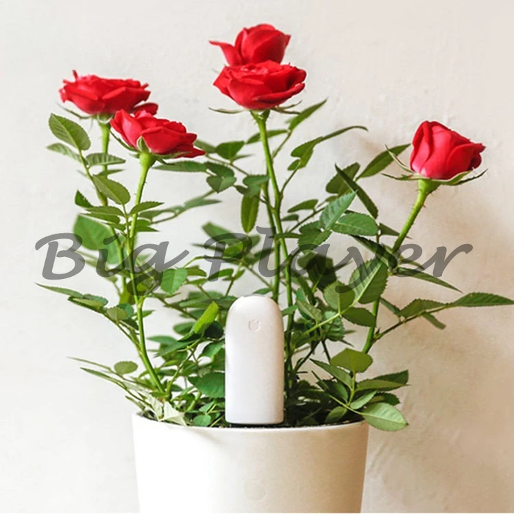 Mijia Flower and Grass Detector World Edition Plant Cultivation Detector Soil Monitor