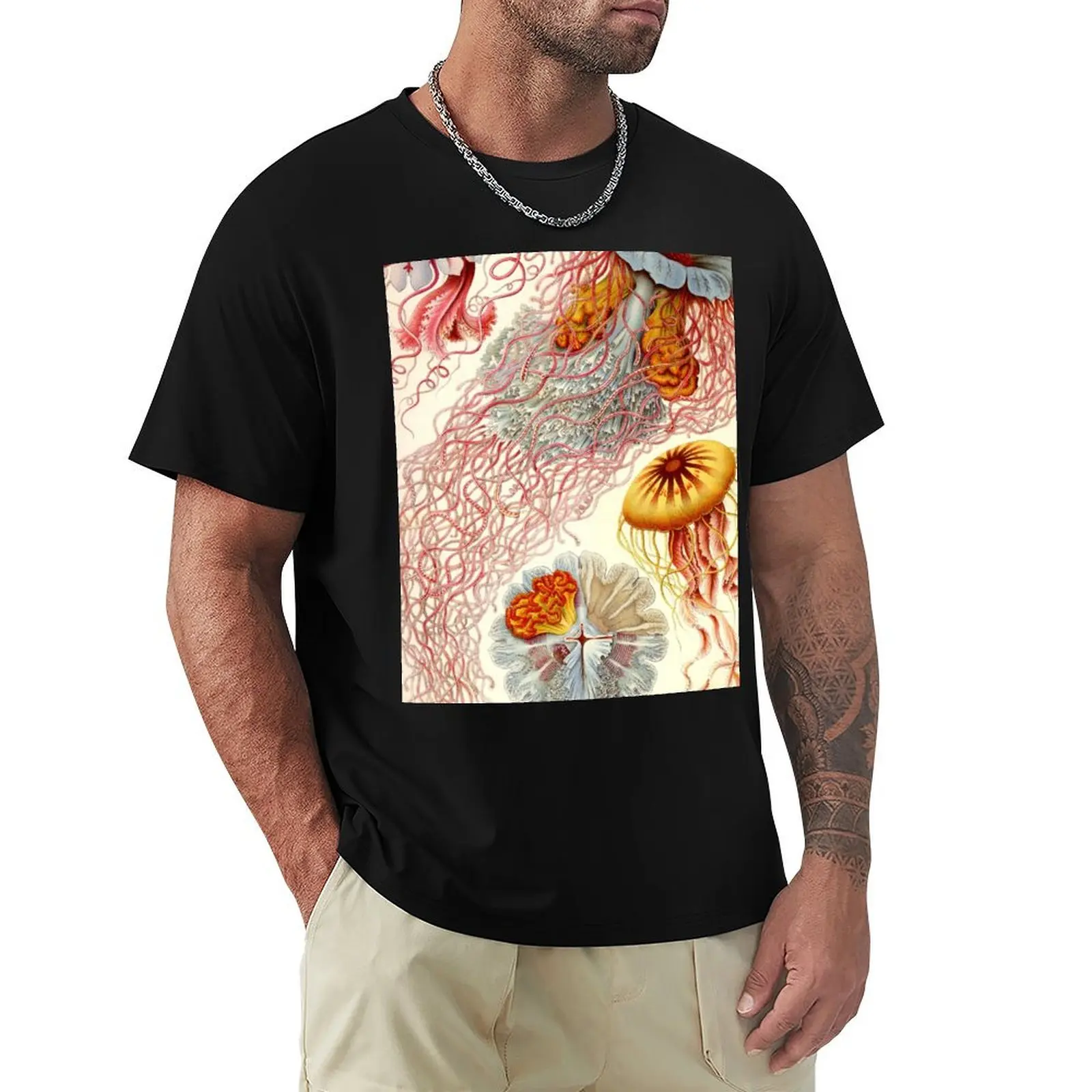 

Jellyfish - Ernst Haeckel T-Shirt No Iron Casual Short Sleeve Top