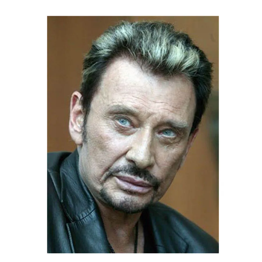 5D fai da te perline piene pittura diamante cantante Rock francese Johnny Hallyday personaggi Wall Art nuovo arriva