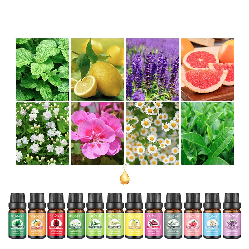 10ml Obst Bio Himbeer Aroma Duftöl für Luftbe feuchter Kerzen seife machen Kokosnuss Erdbeer Essenz Öl Hautpflege