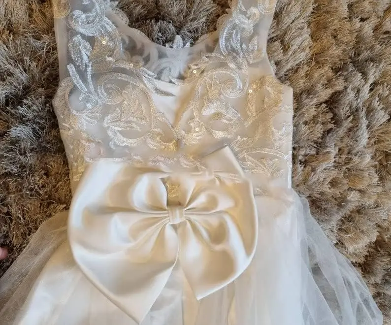Lace Embroidery Transparent Sleeves Flower Girl Dress with Big Bow At The Back,Birthday Party Dance Dress,Communion Formal Dress