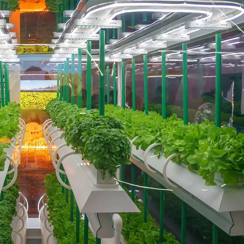 Popular Grow Products Indoor Hydroponic Nft Channel Gully for Vegetables and Lettuce Nft System Hydroponics PVC Pipe