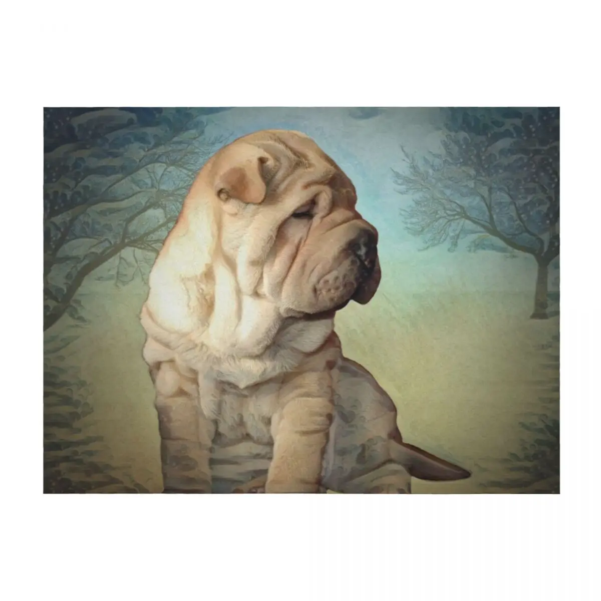 

Shar Pei Puppy Throw Blanket Vintage Blankets Sofas Of Decoration Personalized Gift For Decorative Sofa Blankets