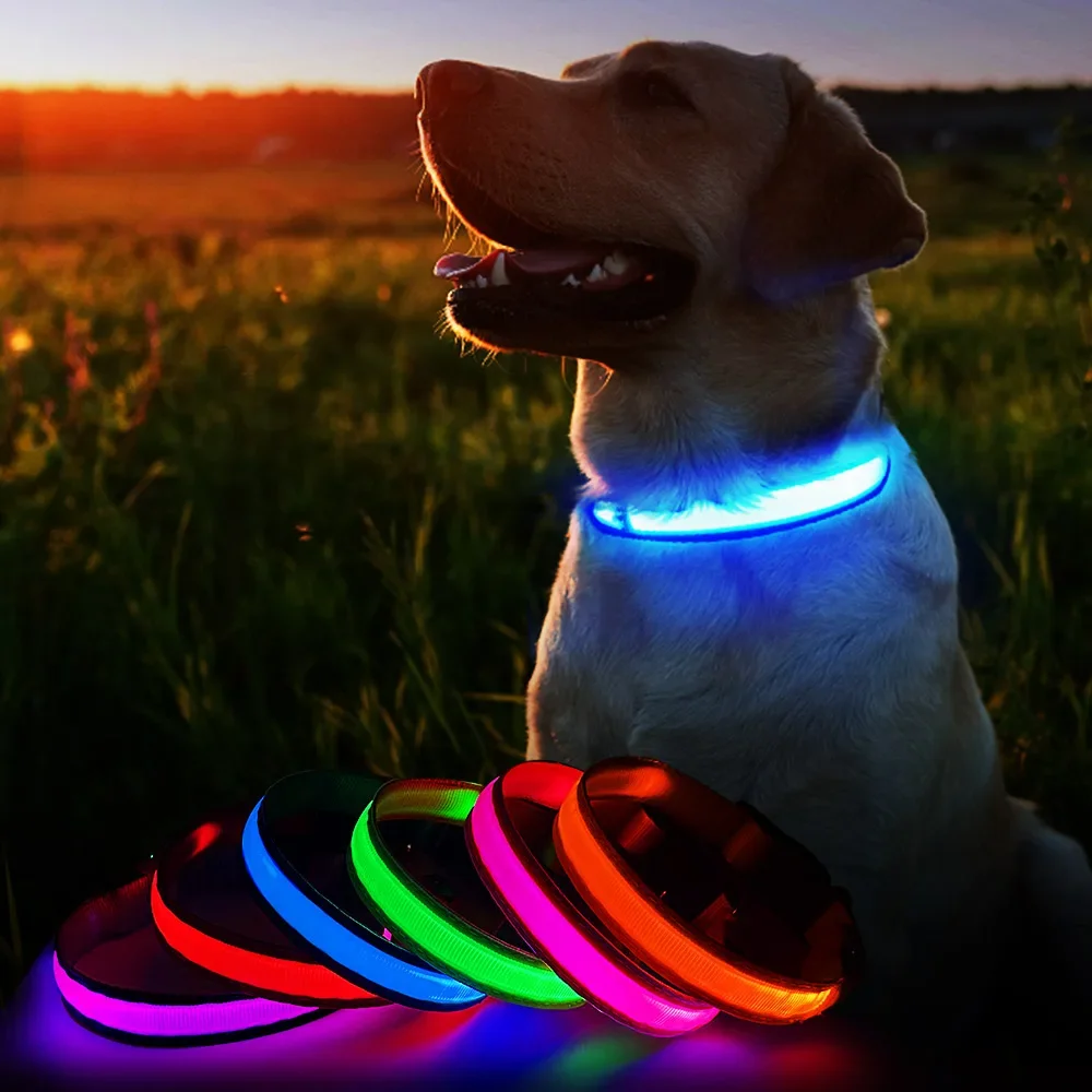  LED Dog Collar Luminous Pet Supplies Dog Collar Waterpoof Safety Glow Necklace Flashing Lighting Up Collars Accessories