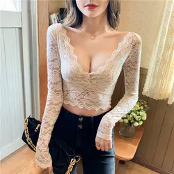 V-neck Lace Undershirt for Women New Style with Inner Lining Long Sleeved Low Neck Chiffon Shirt Small Shirt Short Mesh Top