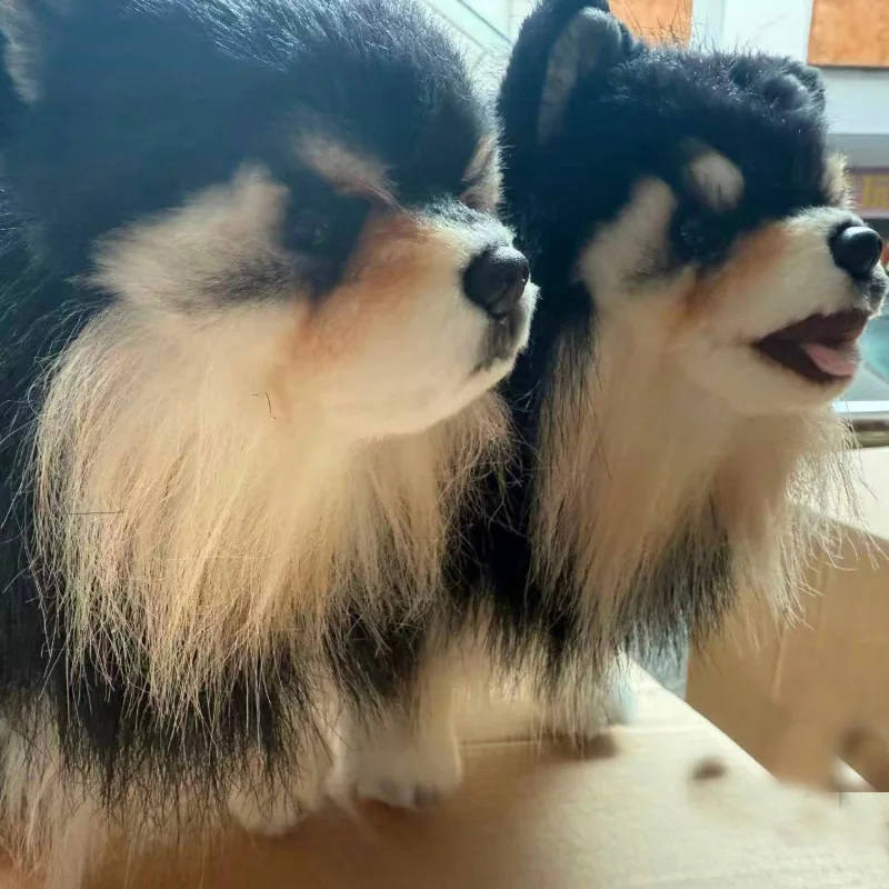 25cm Simulation RealLife Pets Chihuahua Plush Toys Stuffed Fluffy Animal Cute Puppy Baby Appsease Dog Doll for Kids Xmas Gifts