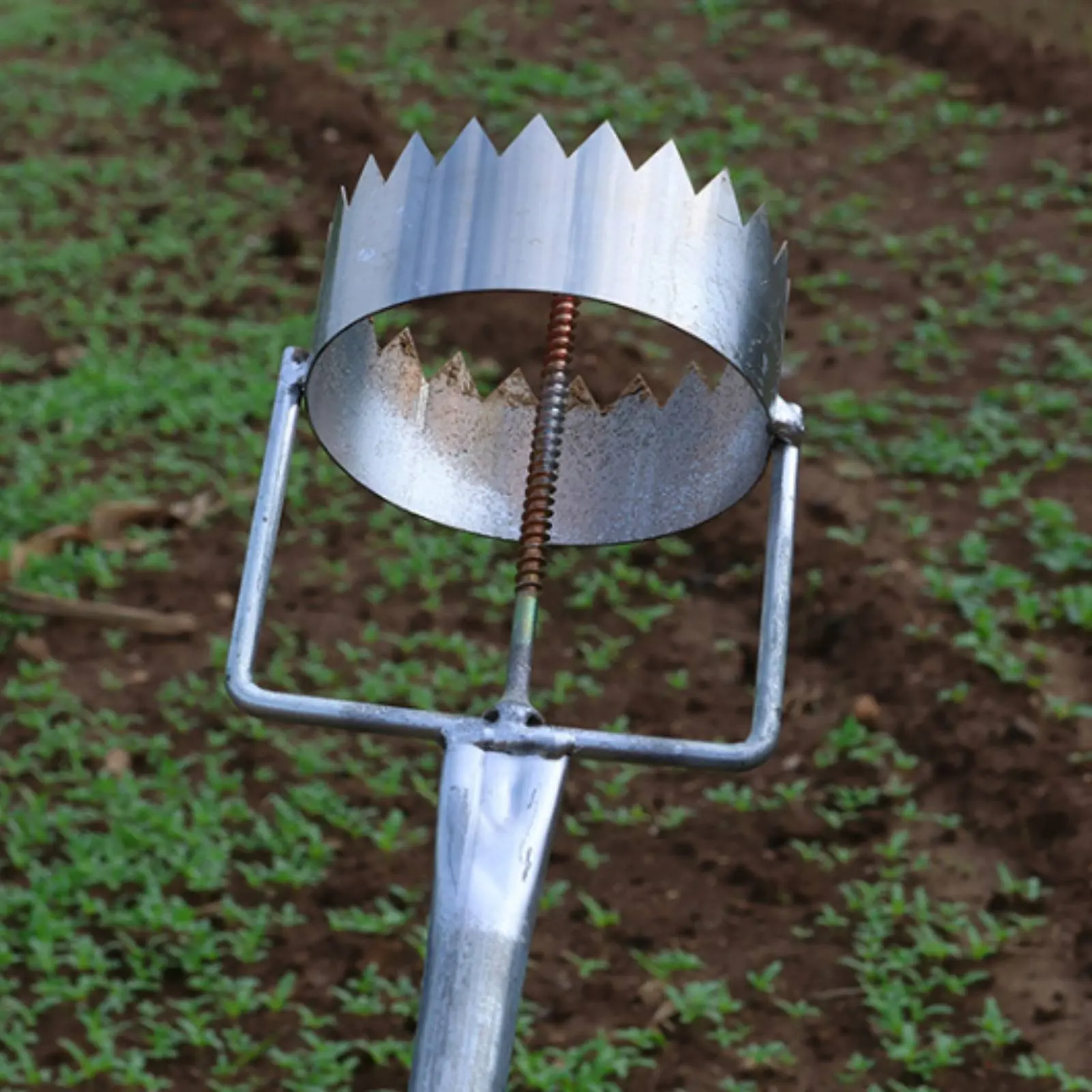 Mulch Film Hole Puncher Stainless Metal Tip Plastic Ground Cover Puncher Planting Hole Digger Adjustable Length for Greenhouse