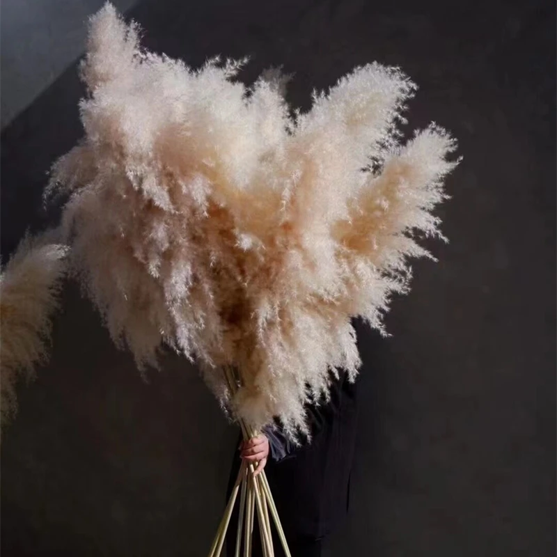 120cm Pampas Grass Large Tall Fluffy Pampas Dried Flowers Boho Decor Planta for Vase Home Wedding Decor Flower Arrangement