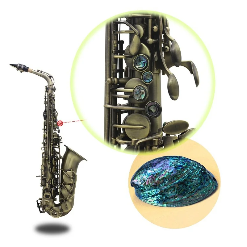 Alto Saxophone for Student and Professional Performer