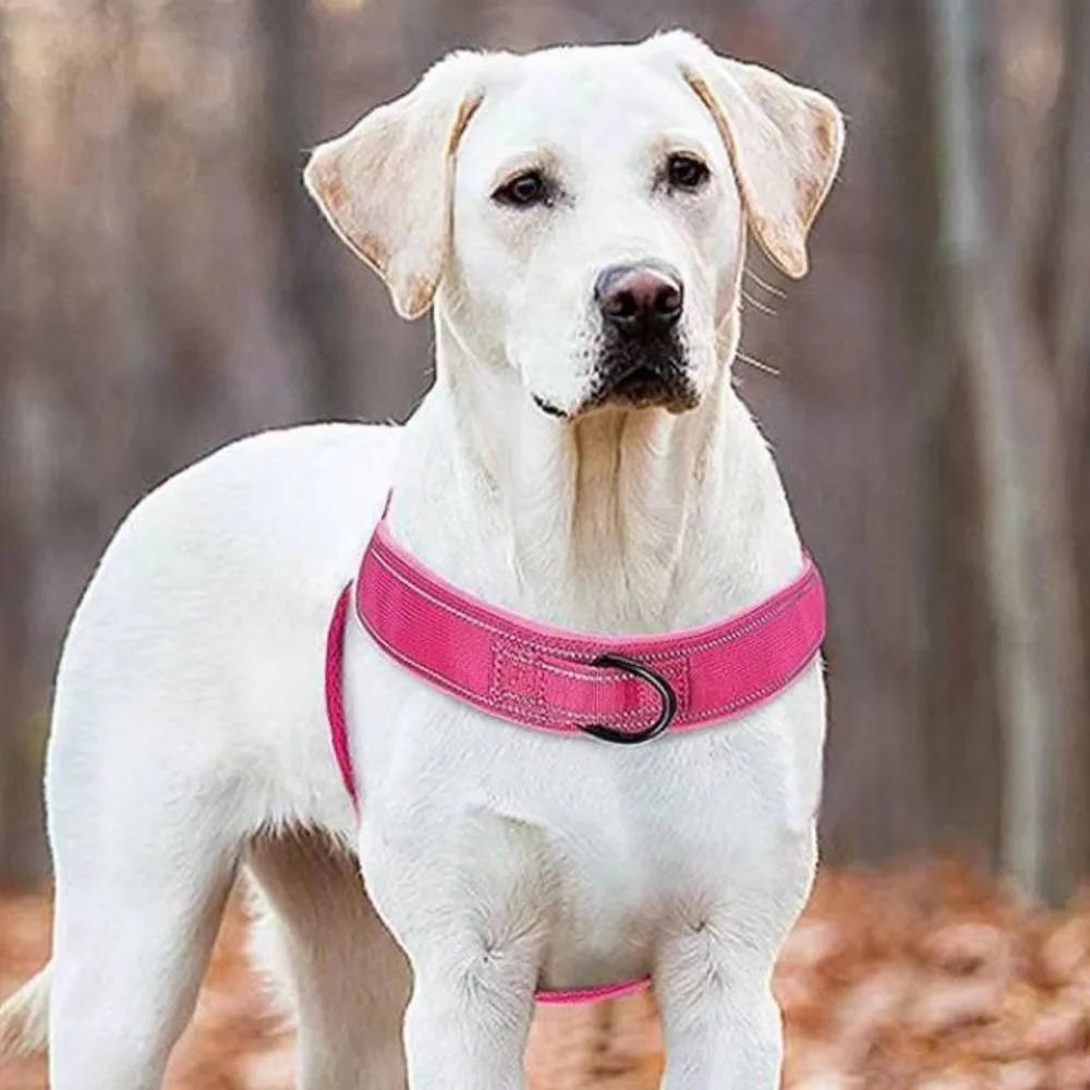 Nylon Pet Walking Harness Vest with Reflective Strips Wear-resistant Walking Dog Leash Vest Explosion-proof Adjustable