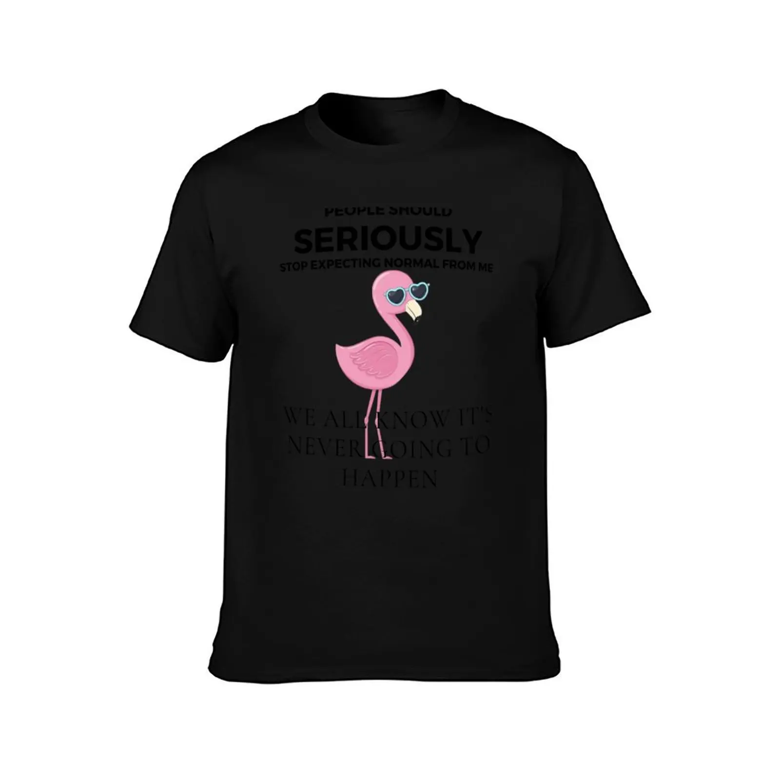 Great gift! People should seriously stop expecting normal from me, we all know it's never going to happen, Flamingo T-Shirt
