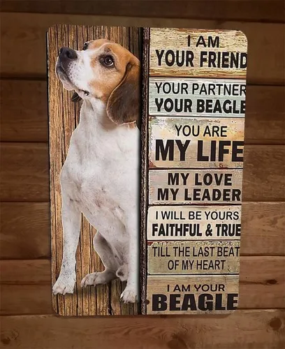 I am your Beagle Friend  Metal Wall Animal Dog Sign