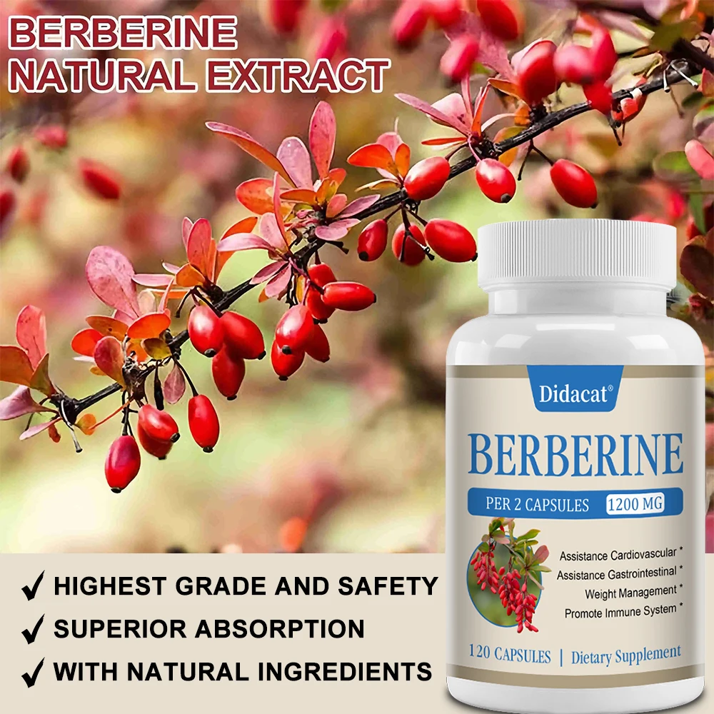 Berberine HCl 1200 mg – onders - Berberine Hcl Capsule recensie en prijs