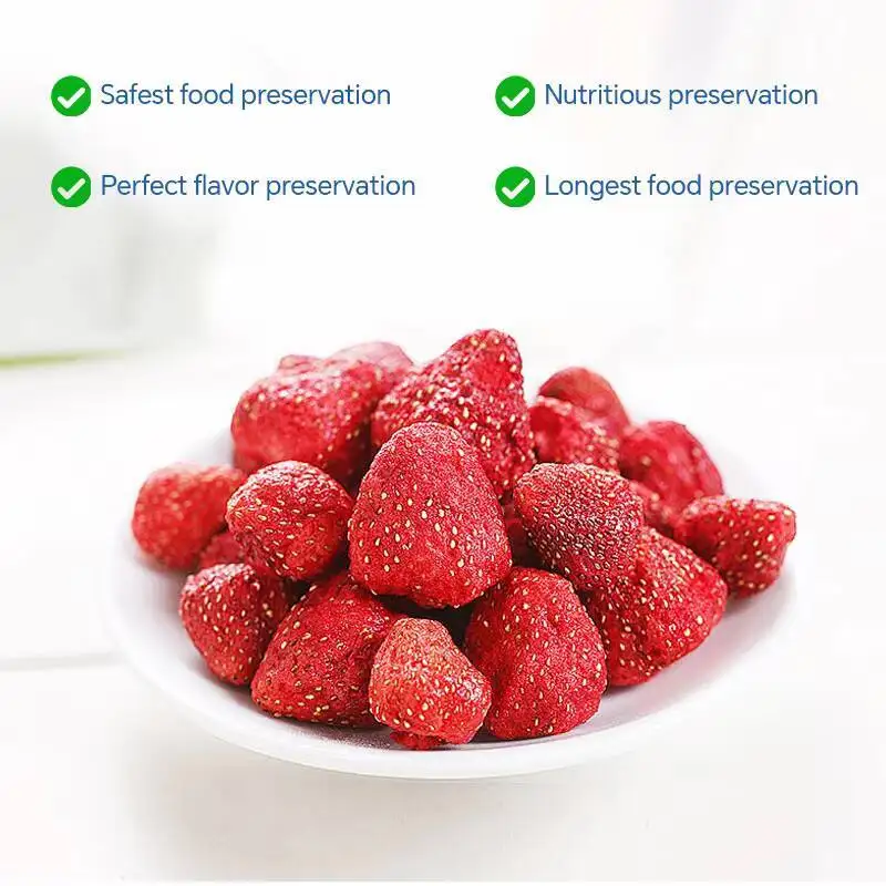 مجفف تجميد 5 صينية عالي الجودة، استخدام منزلي تلقائي مع محرك تروس المضخة لتجهيز الأغذية