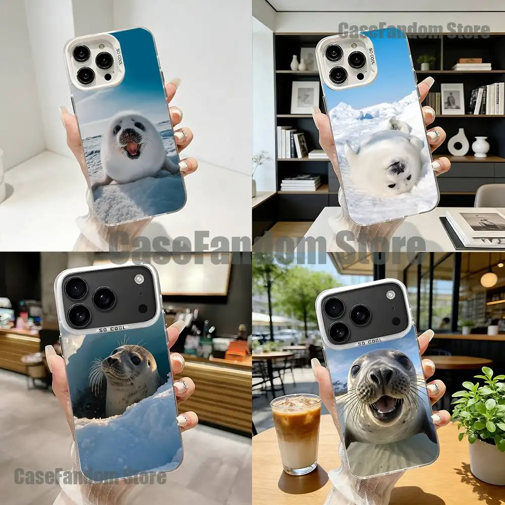 

Cute Seal Sea White Matte Shockproof CoverPhone Case For iPhone 17,16,15,14,13,12,11,Pro,XS,Max,Plus,Mini,SE4,E