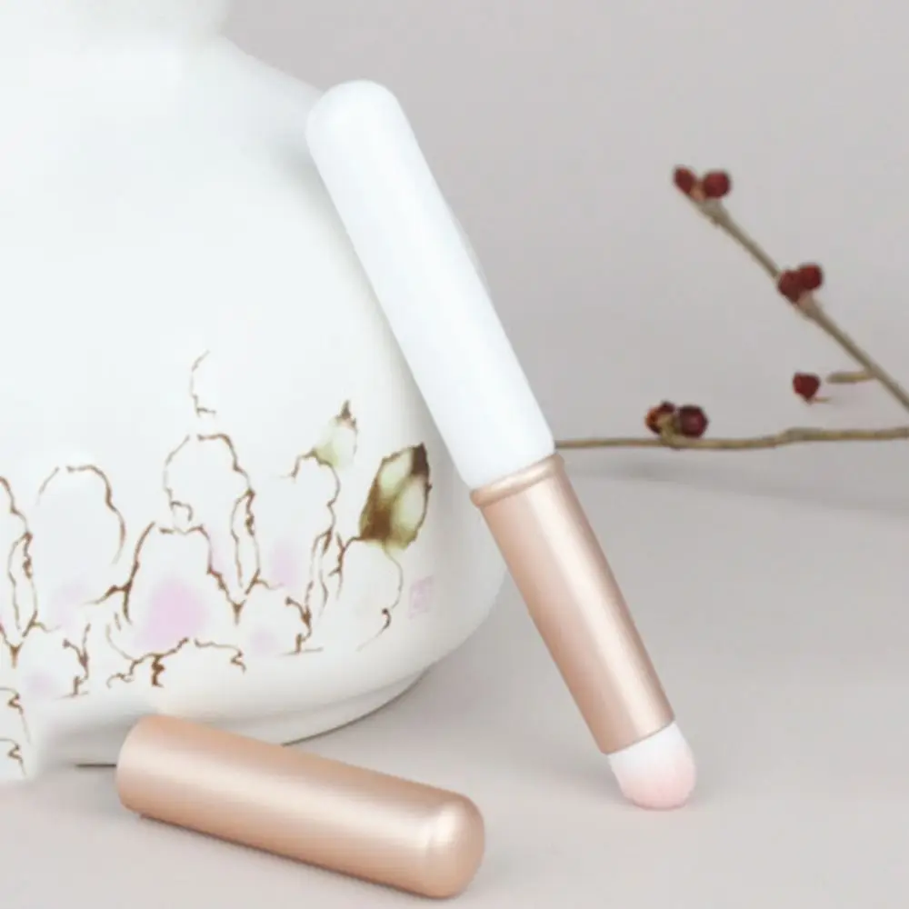 Brosse à lèvres polyvalente à plusieurs reprises, Mini brosse professionnelle à tête ronde pour correcteur, brillant à lèvres, brosse à rouge à lèvres Portable pour femmes