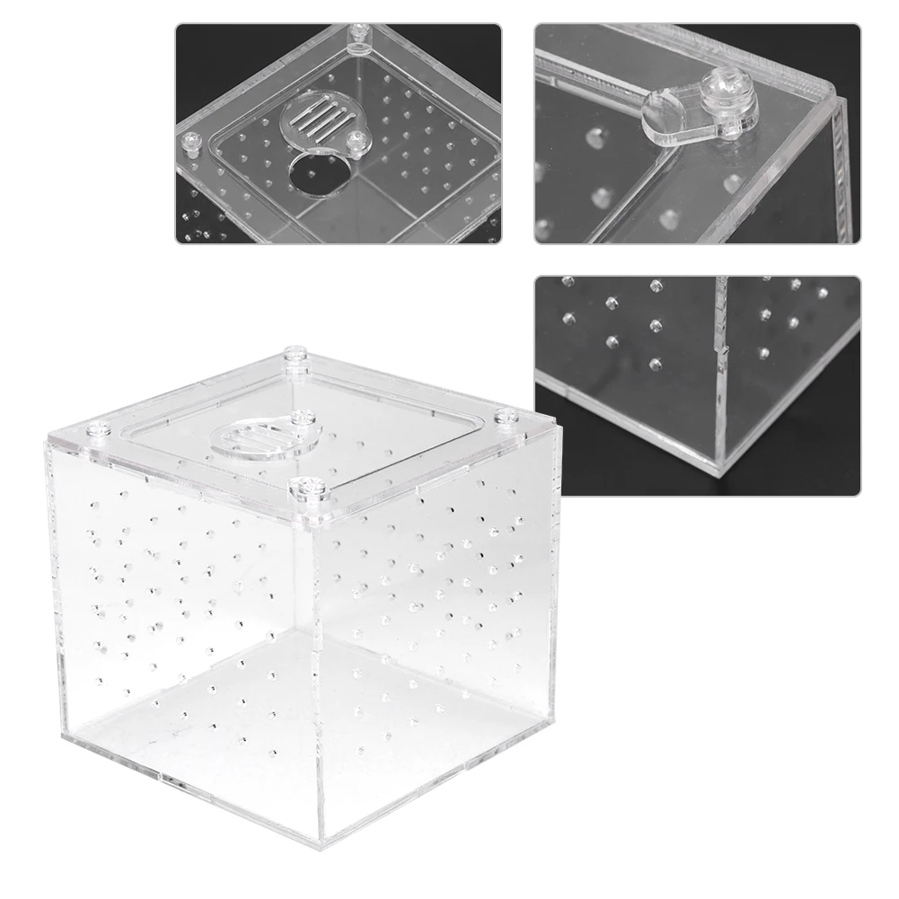 Breeding Box Reptile Acrylic Box Reptile Terrarium Feeder Snakes Spider Lizard Breeding Acrylic Box Case Insects House