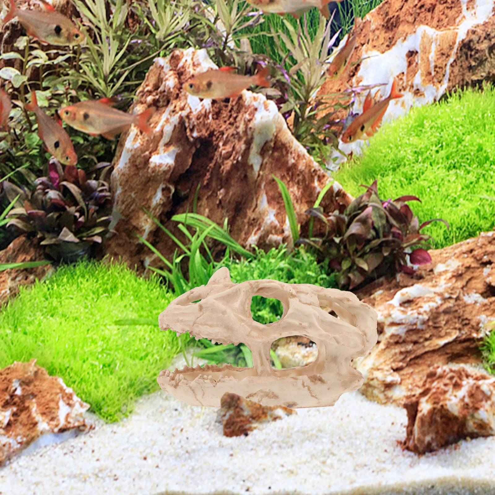 

Resin Dinosaur Skull Ornament Decoration for Fish Tank Hideout Cave Decorative Underwater Landscaping Aquarium