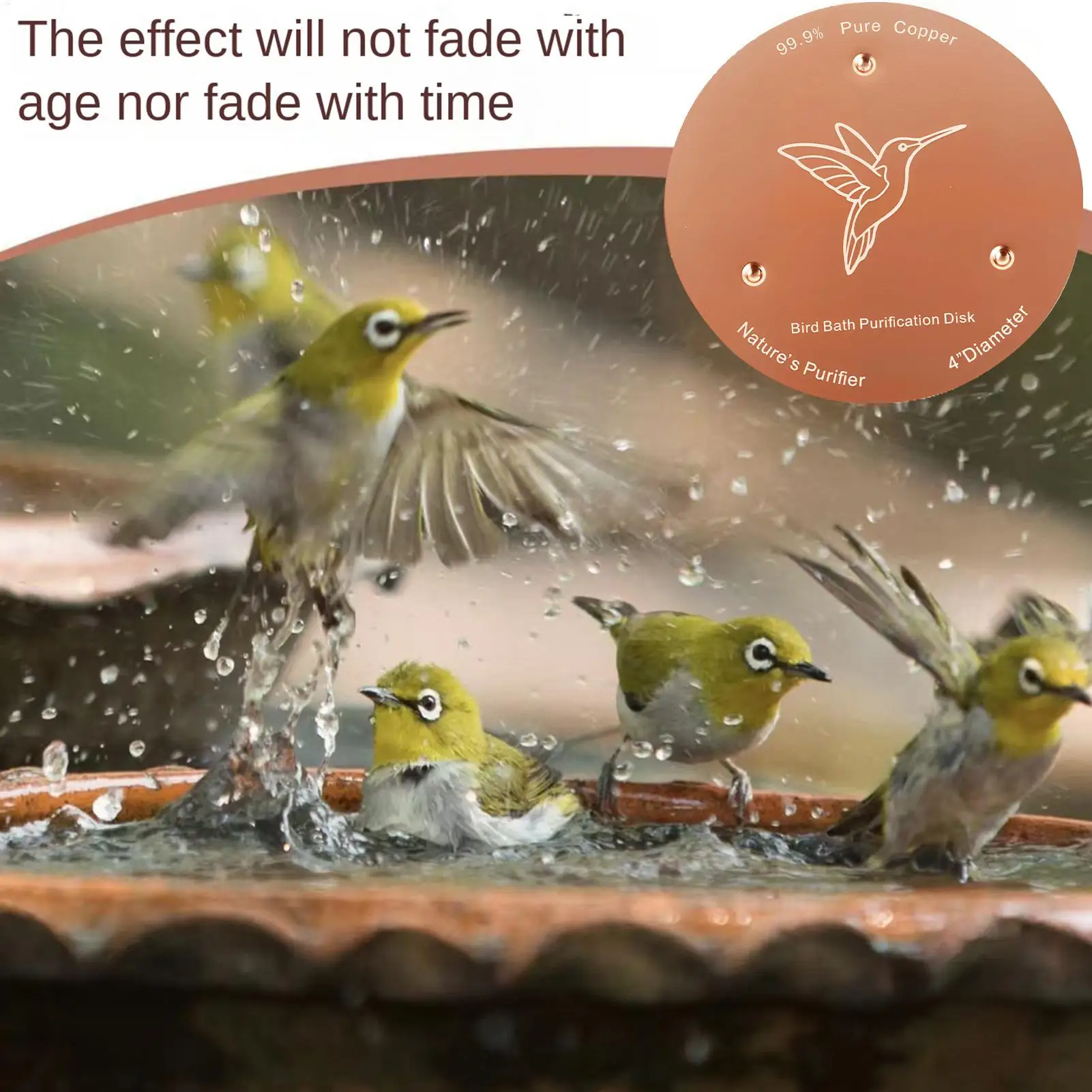 Bird Bath Purification Disk With Triple-Point Support Fountain Ornaments Copper Bird Bath Purification Disk For Outdoor Garden