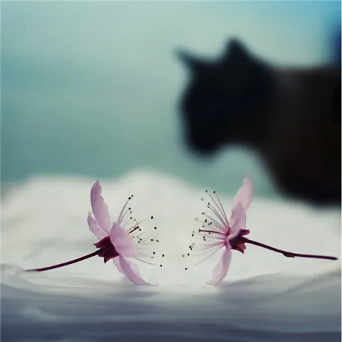 

RC 1.9'' Metal Beadlock Wheels for Axial SCX10 TRX4 Redcat - Tornado Hole Rims, Off-Road Crawler, Durable Alloy RC Upgrade