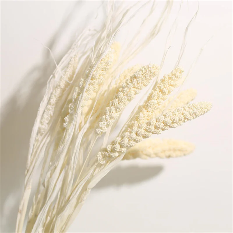 Natural Bouquet Pampas Grass Dried Flowers Preserved Millet Flower For Bouquet Household Flower Arrangement Wedding Home Decor