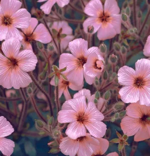 

Smart Outdoor Sports Portable Wearable Wireless Charging Bank For Apple Watch Wireless Charger Apple Watch S9 44mm 45mm 49mm