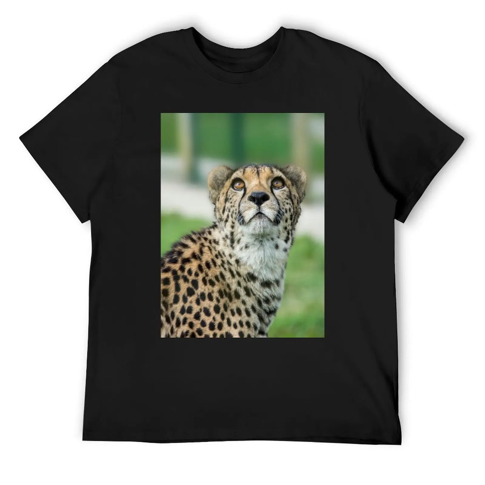 

Cheetah caught in an upward gaze T-Shirt customizeds clothes fruit of the loom mens t shirts