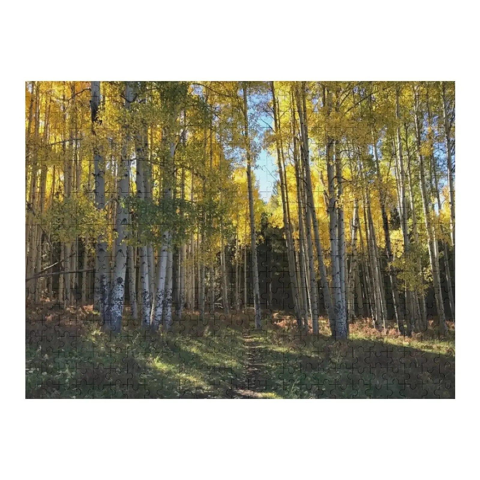 Aspen Trail from Forest Peak Retreat - من ccnow.info بازل قطع أعمال فنية من الخشب للبالغين صناديق خشبية