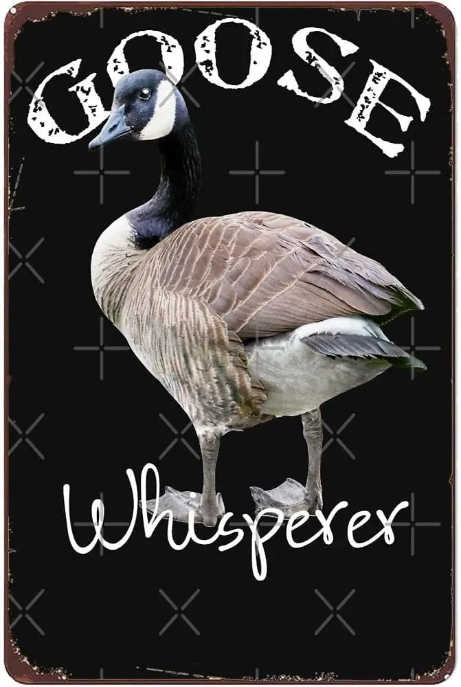 Goose Whisperer Silly Goose Lover Canadian Geese Canadian Goose Bird Watcher Gift Lightweight Tin Sign Office Bar Kitchen Man Ca