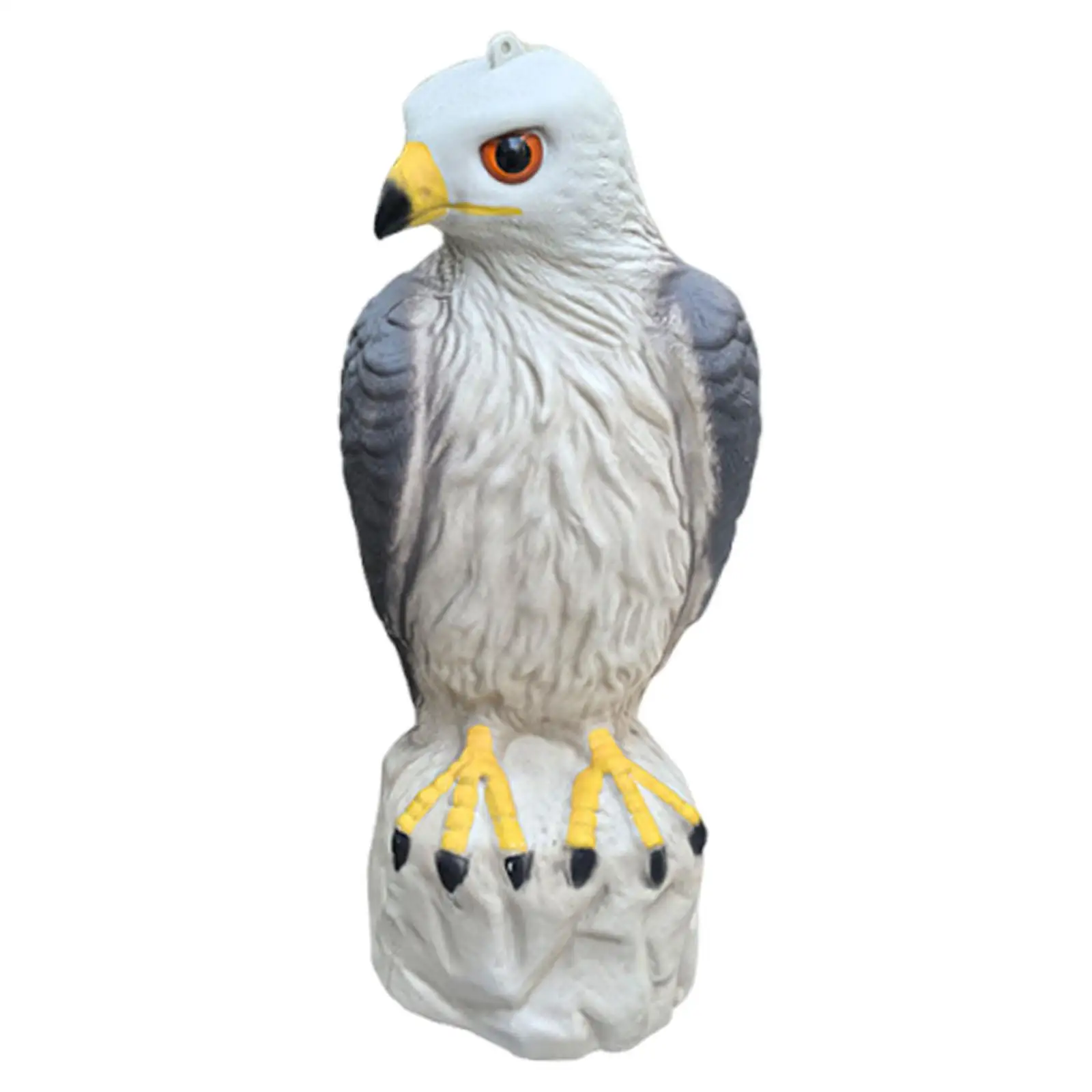 

Garden Eagle Ornament Fake Hawk Decor Garden Decor Simulated for Outside Pathway