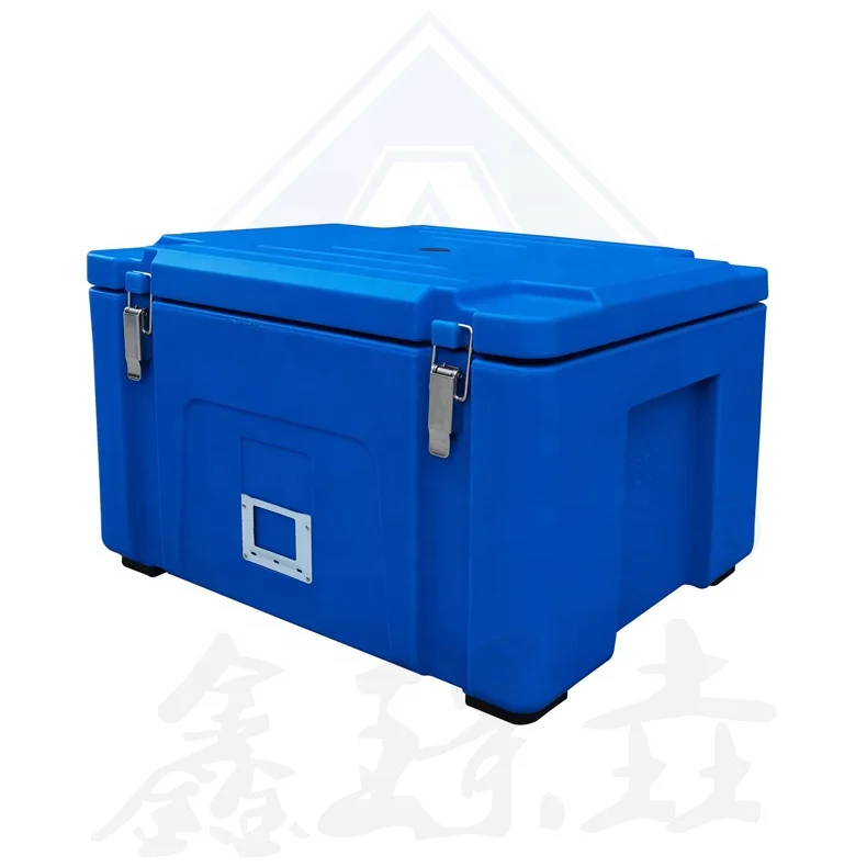 Insulated Bucket Ice Cooler Box Insulated Lunch Box Mini Cooler Bag Insulated Lunch Box Bento