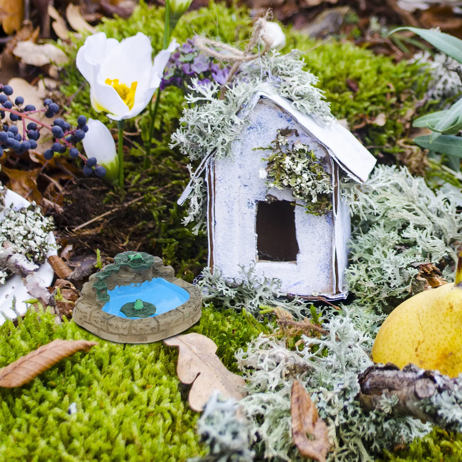 

10Pcs Mini Resin Frog Pond Decor for Fairy Garden Moss Tank Terrarium Bonsai Micro Landscape DIY Miniature Water Scene Landscape